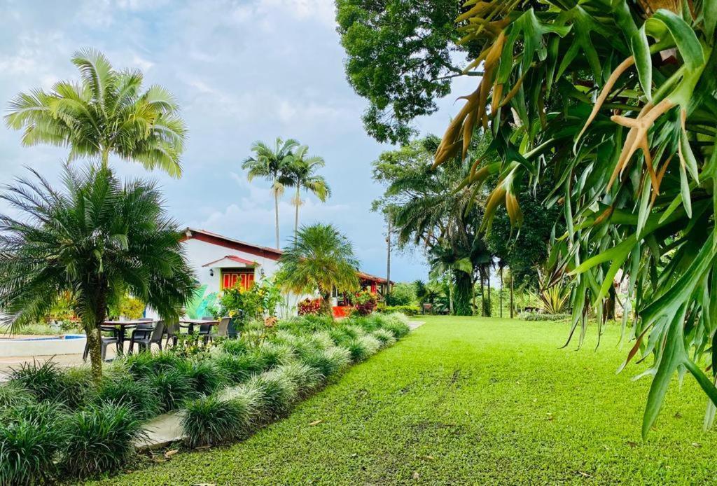 Finca Hotel El Laurel - Parque Del Cafe Montenegro Luaran gambar